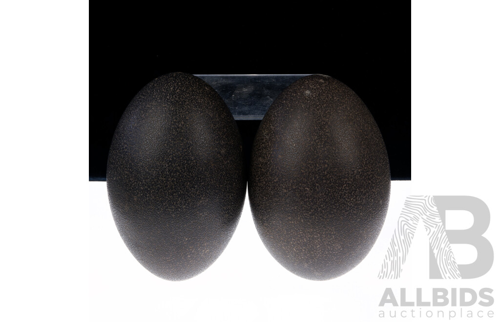 Two Hollow Blown Emu Eggs