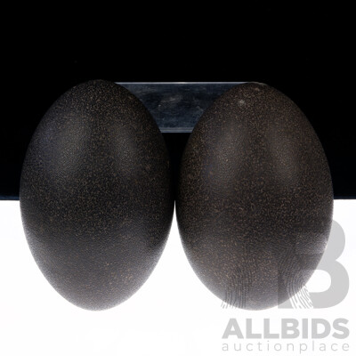 Two Hollow Blown Emu Eggs