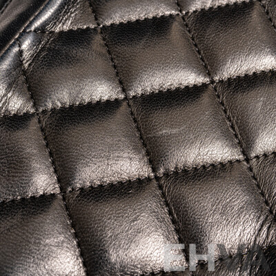 Chanel Quilted Leather Camera Bag