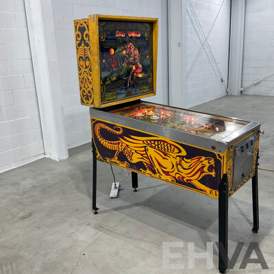 Lost World by Bally Pinball Machine