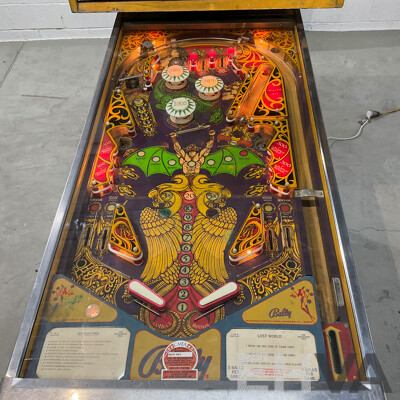 Lost World by Bally Pinball Machine