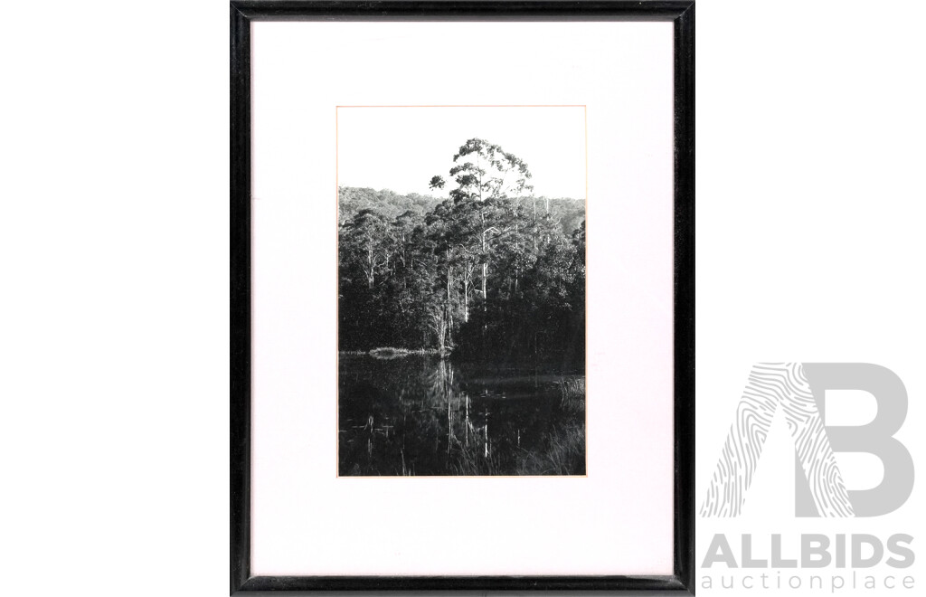 Artists Unknown, Pair of Framed Nature Landscape Photographs, 35 X 27 Cm (largest Image) (2)