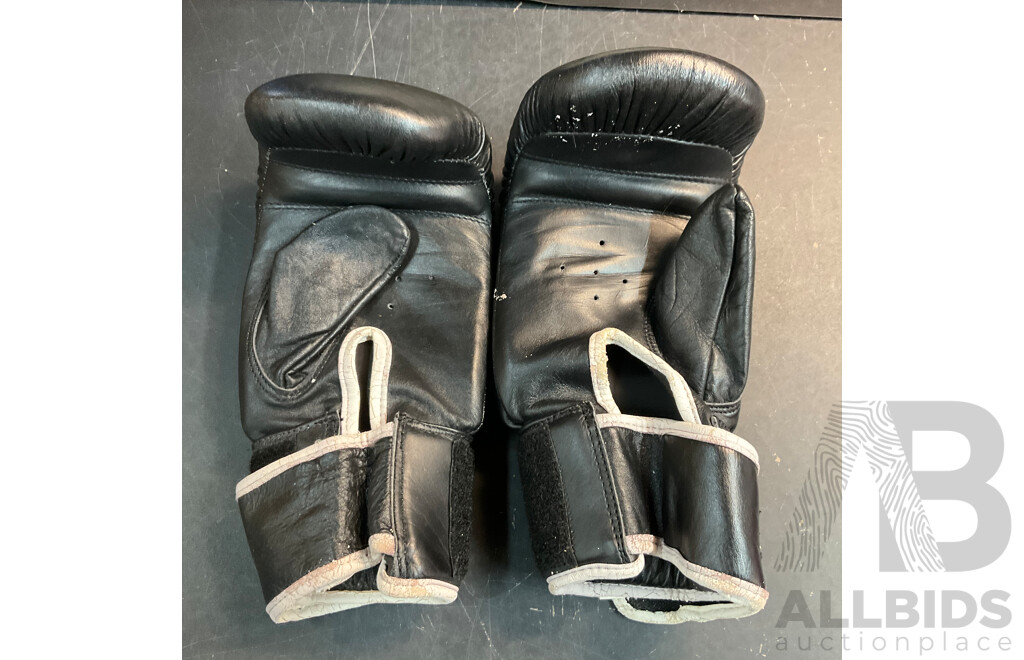 Assorted of Boxing Glove / Equipment