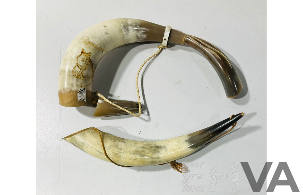 Collection of Reproduction Horn Items Including Horn Flask and More