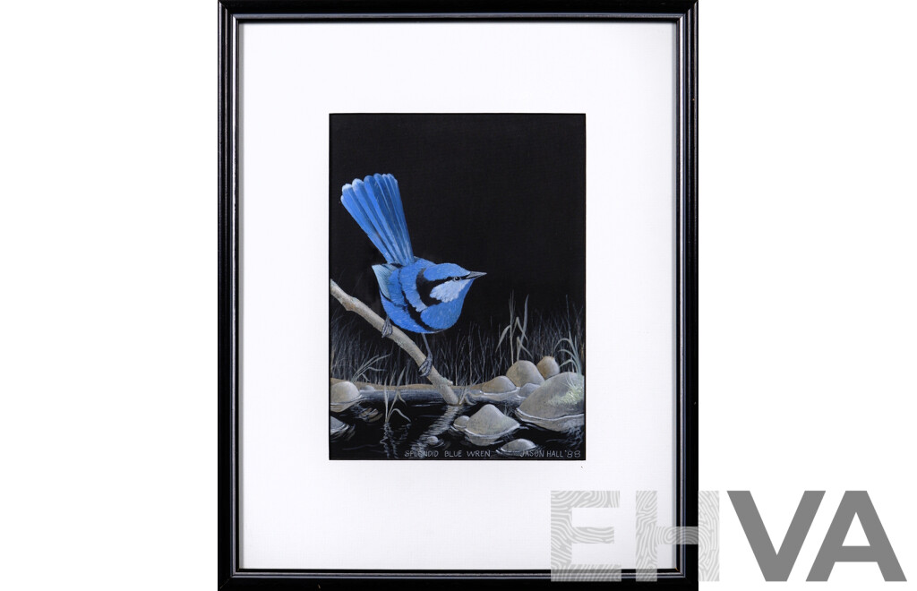 Jason Hall (Australian, Working C1980s), Splendid Blue Wren, Watercolour on Black Card, 36 x 30 cm (frame)
