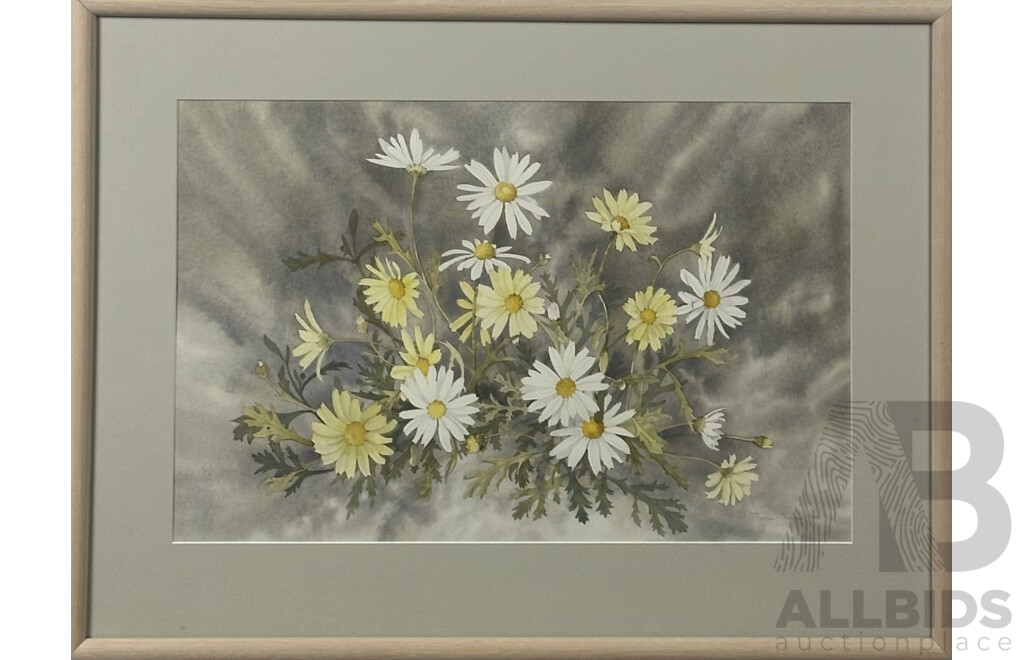 Tina Terry, (20th Century, Australian), Daisies, Watercolour, 54 x 71 cm (frame)