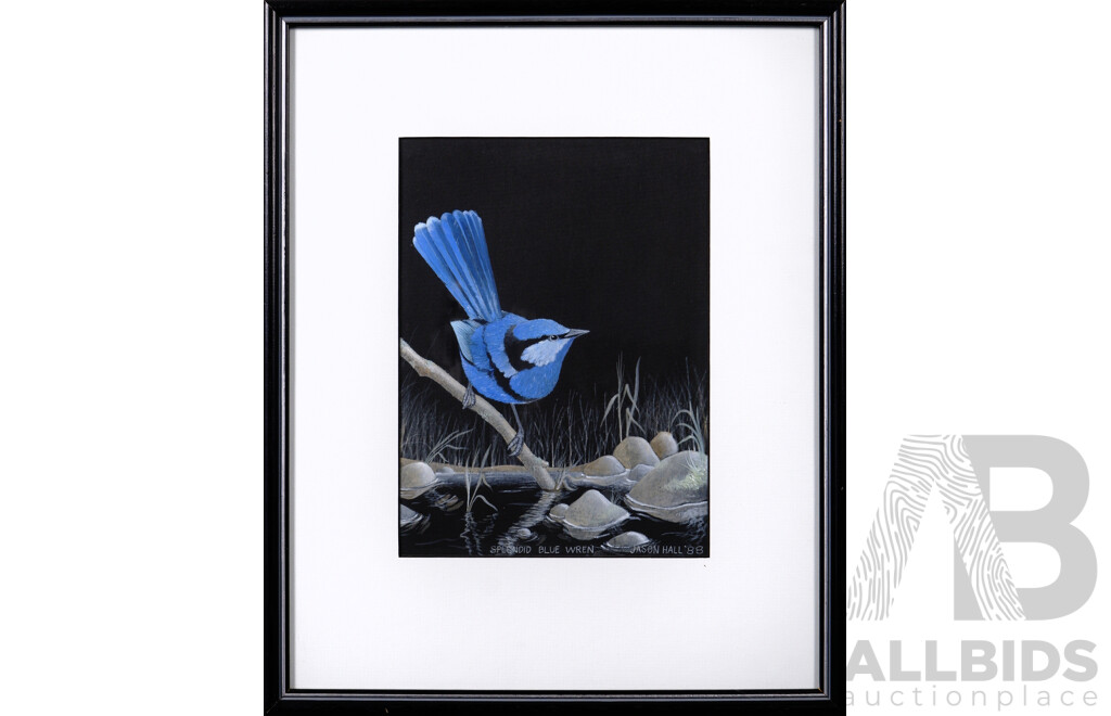 Jason Hall (Australian, Working C1980s), Splendid Blue Wren, Watercolour on Black Card, 36 x 30 cm (frame)