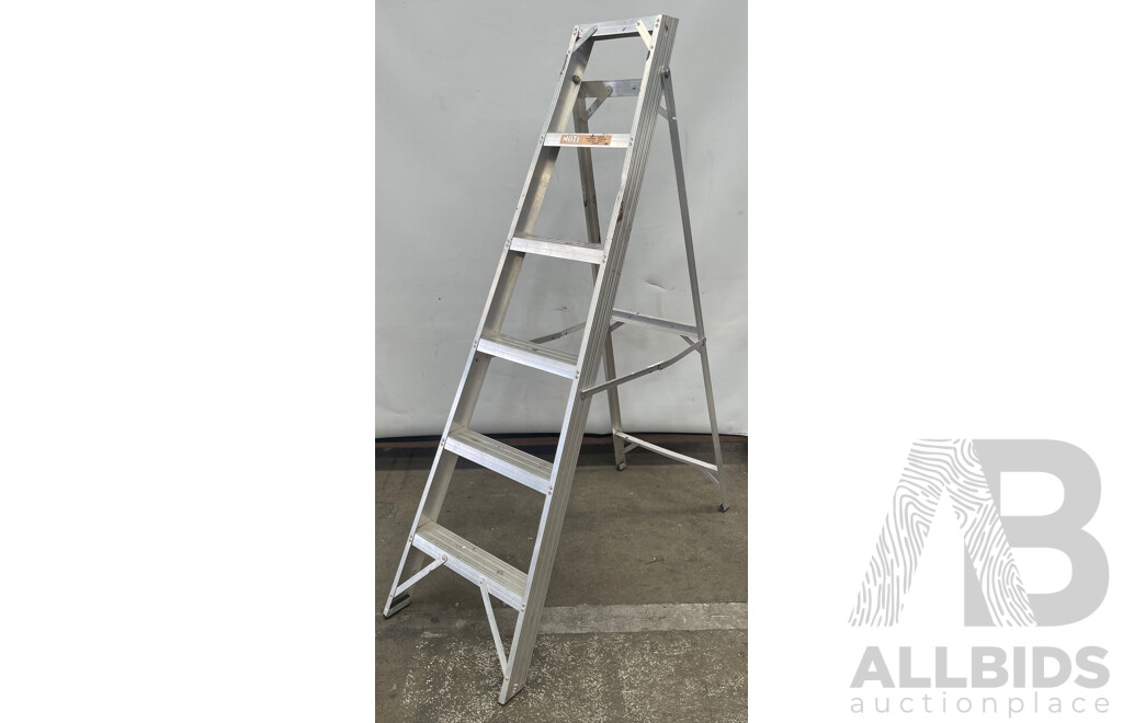 Mote Aluminum Ladder