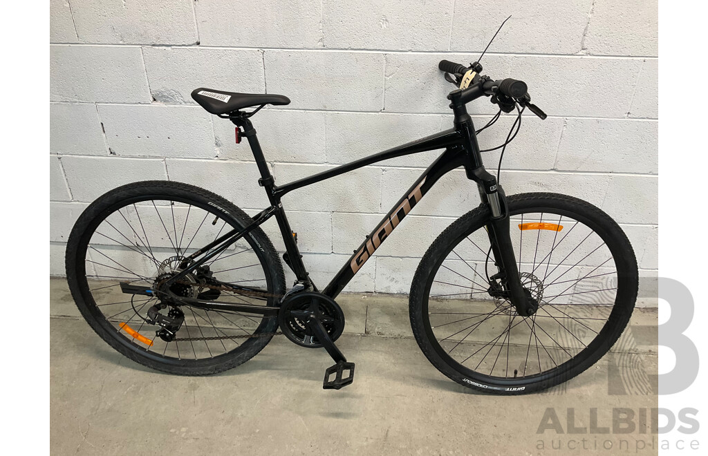 Giant Roam Mountain Bike (Size M)