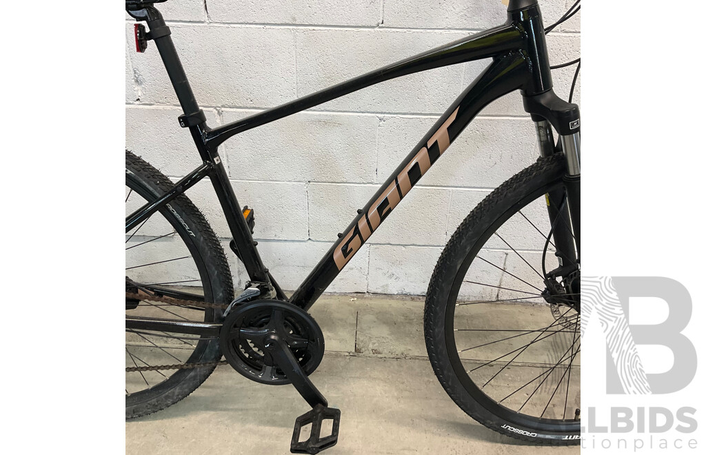 Giant Roam Mountain Bike (Size M)