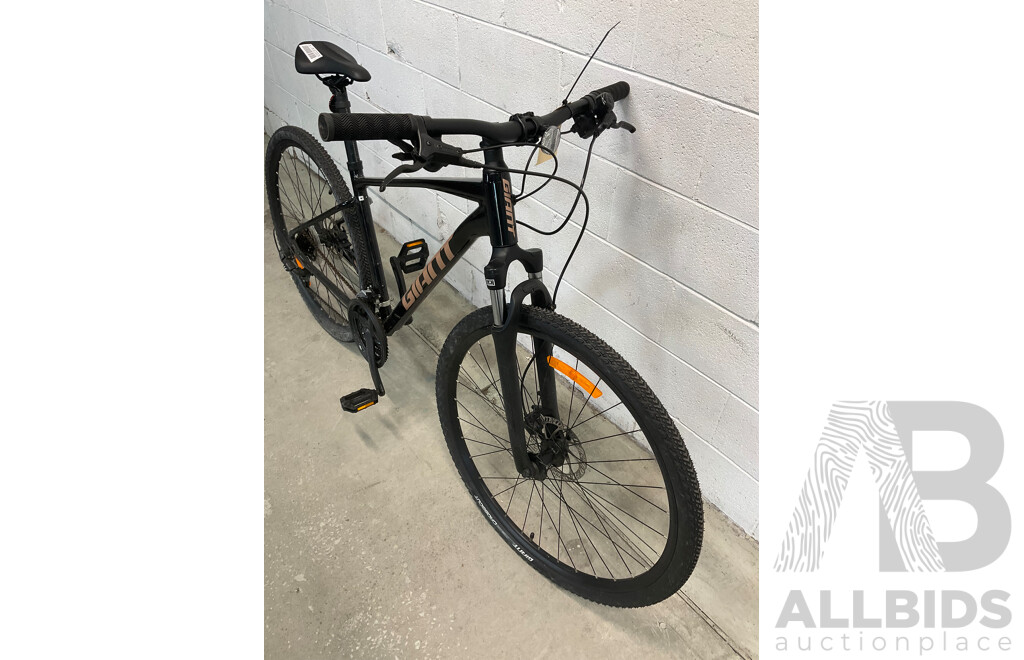 Giant Roam Mountain Bike (Size M)