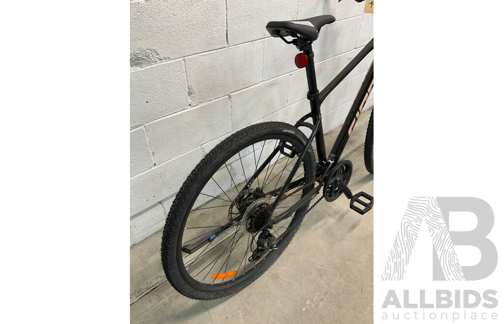 Giant Roam Mountain Bike (Size M)