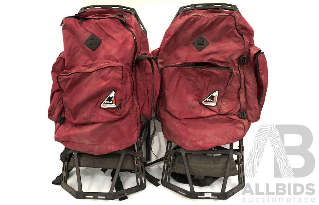 Coleman Peak 1 External Frame Hiking Backpack