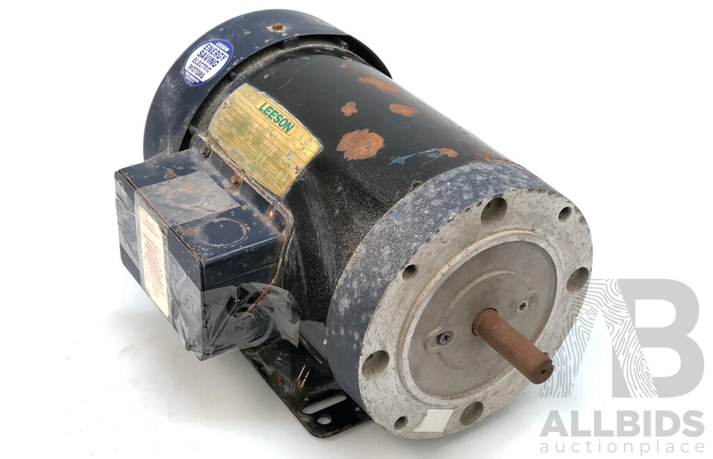 Leeson Three Phase Induction Motor