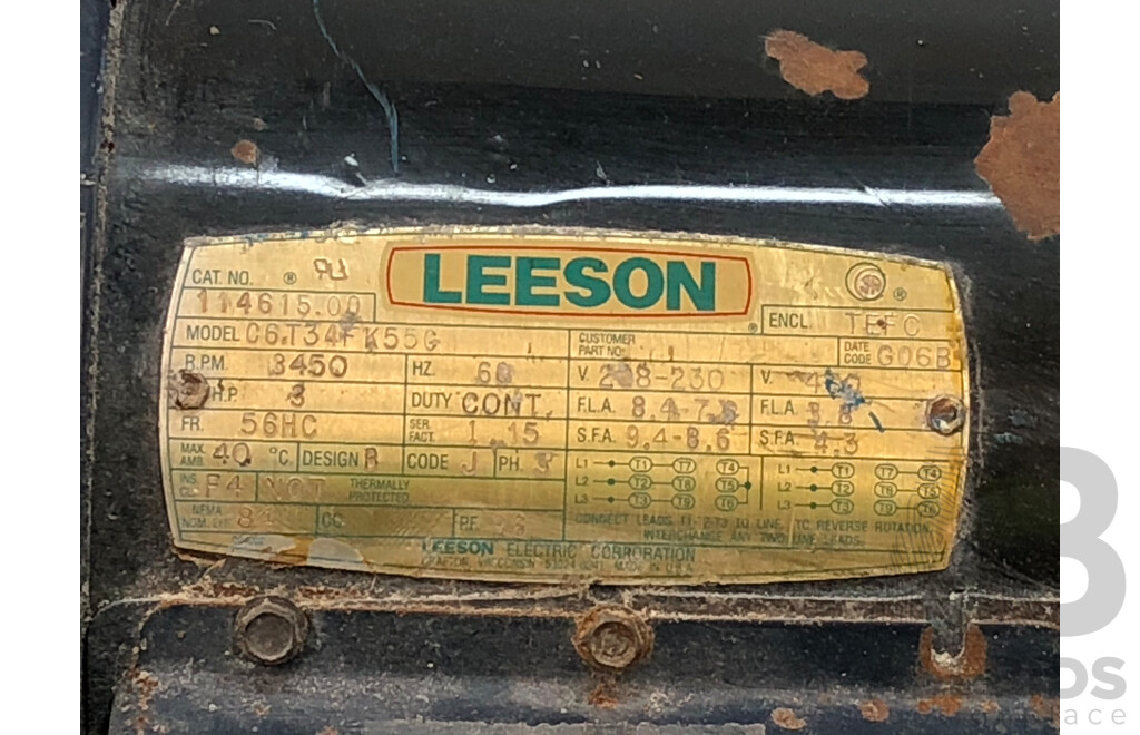 Leeson Three Phase Induction Motor