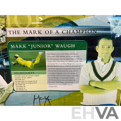 'The Mark of a Champion' Vintage Australian Test Cricket Memorabilia - Signed by Mark Waugh (58 X 54 Cm)