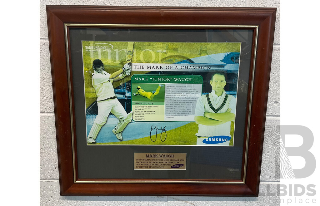 'The Mark of a Champion' Vintage Australian Test Cricket Memorabilia - Signed by Mark Waugh (58 X 54 Cm)