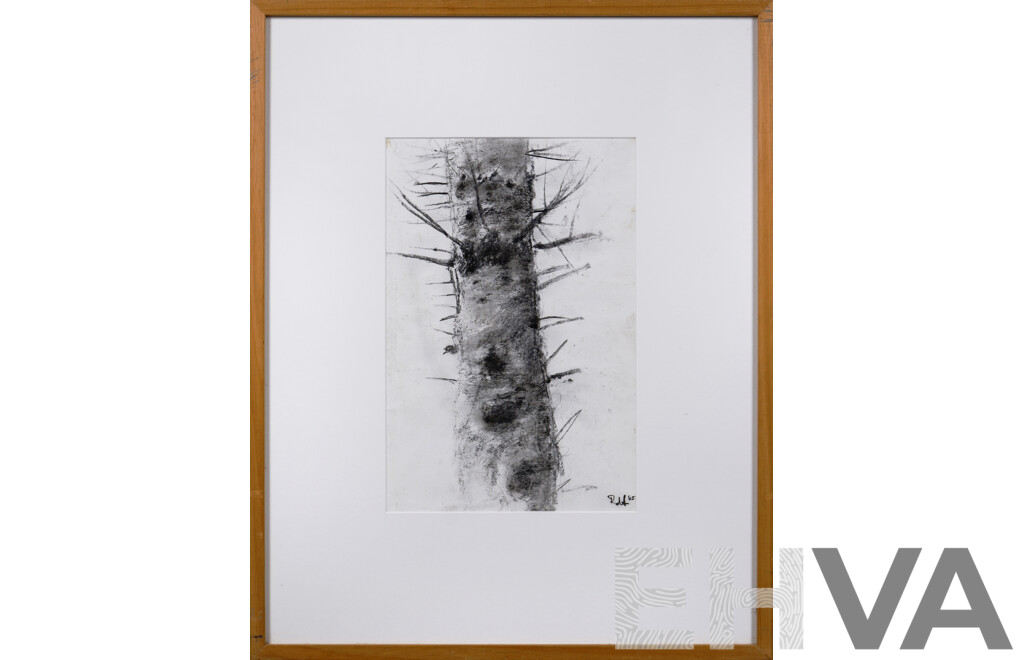 Artist Unknown, (20th Century, Australian), Cypress Tree (2005), Charcoal on Paper, 52 x 41 cm (frame)