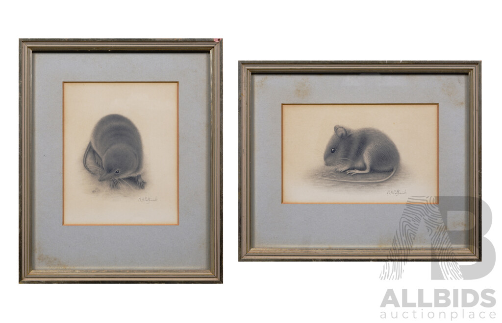 R.H. Petherick, (20th Century, British), Mole and Mouse (circa1950s), Graphite on Paper (2)