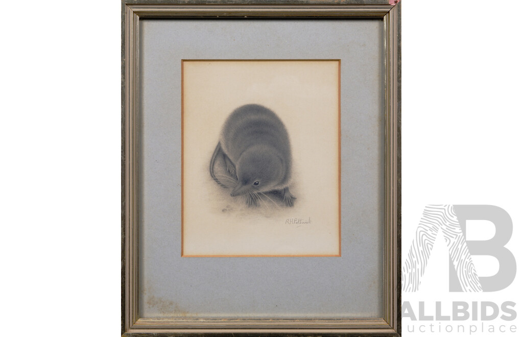 R.H. Petherick, (20th Century, British), Mole and Mouse (circa1950s), Graphite on Paper (2)