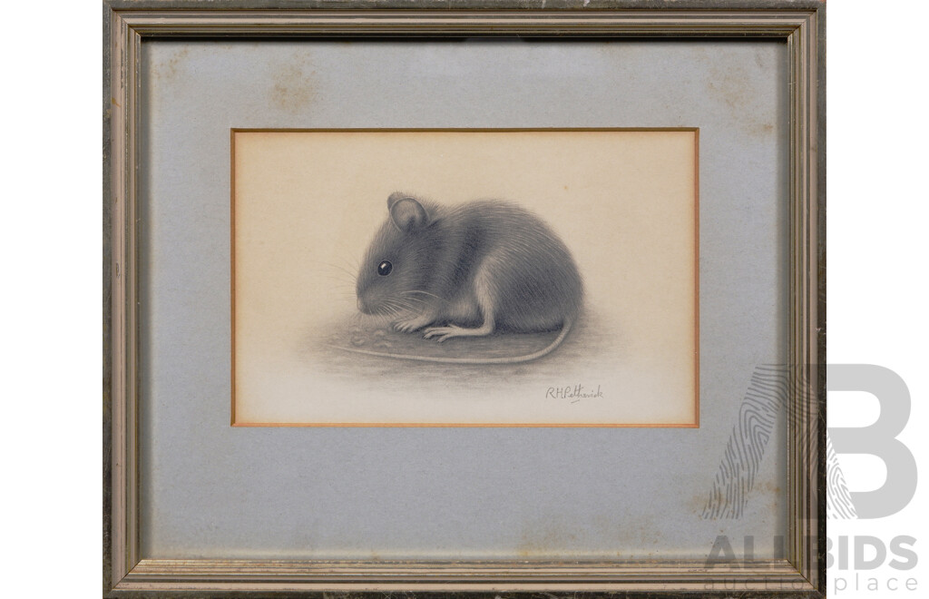 R.H. Petherick, (20th Century, British), Mole and Mouse (circa1950s), Graphite on Paper (2)