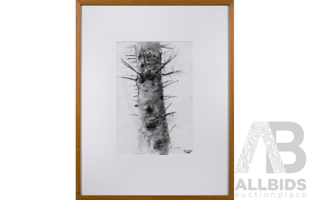 Artist Unknown, (20th Century, Australian), Cypress Tree (2005), Charcoal on Paper, 52 x 41 cm (frame)