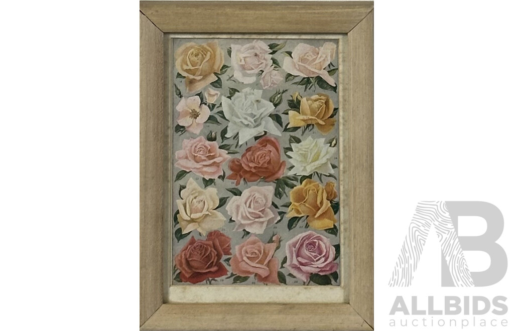 Artist Unknown, Roses, Vintage Colour Print, 26 x 19 cm (frame)