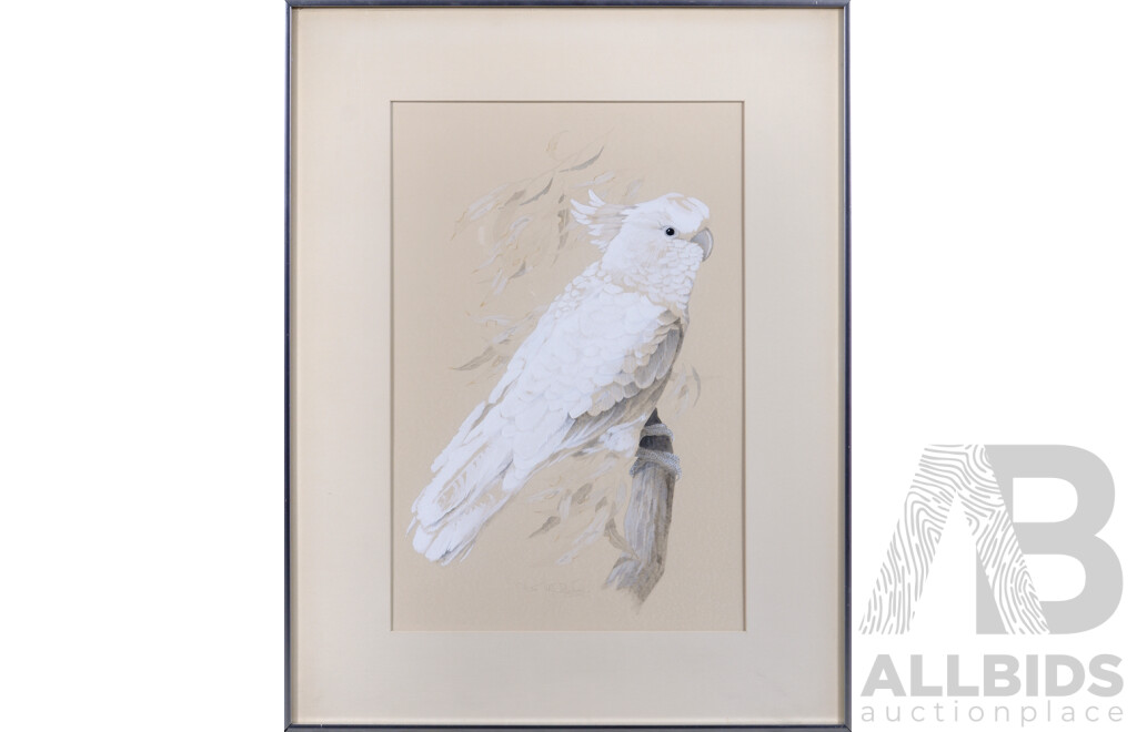 Kevin McCarthy, (20th Century, Australian, 1930-2009), Cockatoo, 70 x 55 cm (frame)