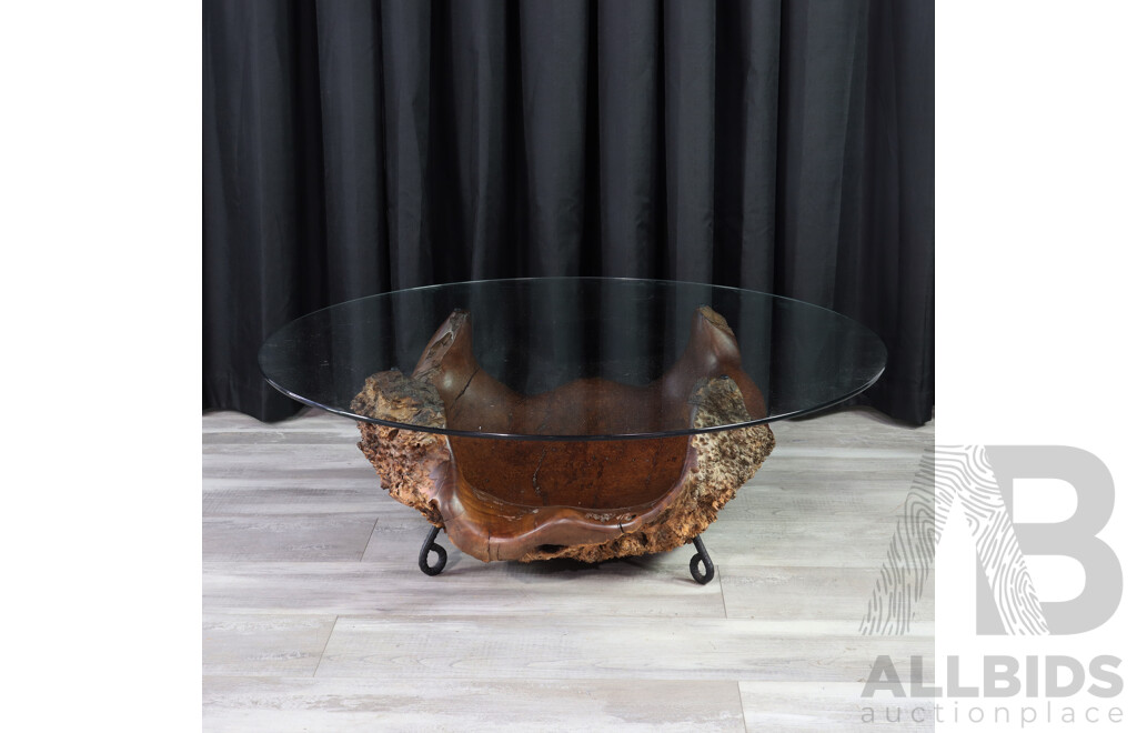 Large Burl Based Glass Top Coffee Table