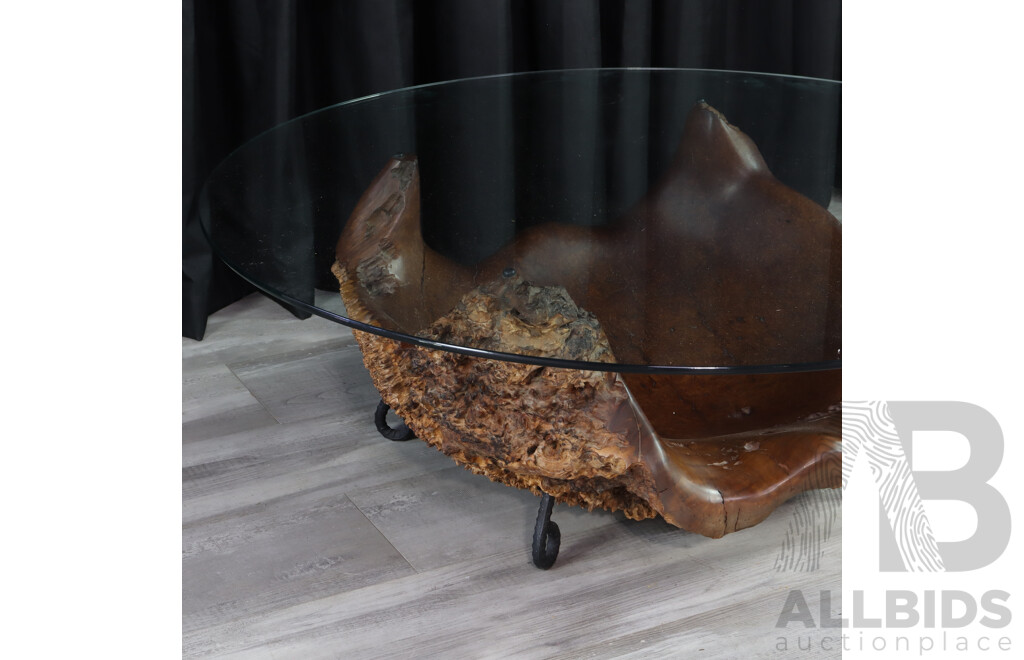 Large Burl Based Glass Top Coffee Table