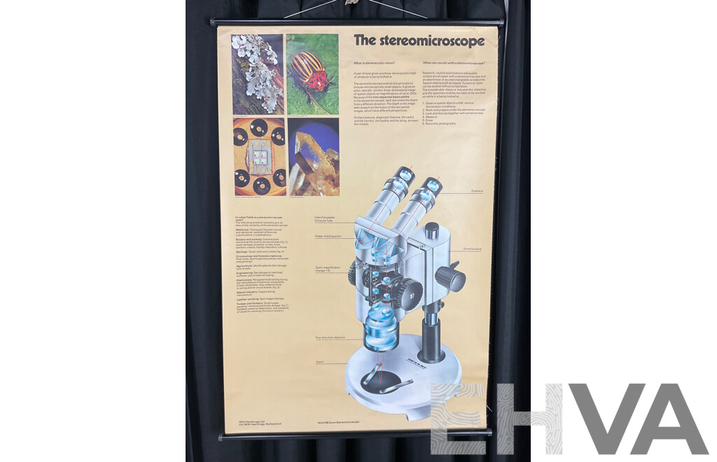 Vintage Hanging Canvas Scroll Advertisement Poster for Wild Heerbrugg M8 Steromicroscope, Printed in Switzerland