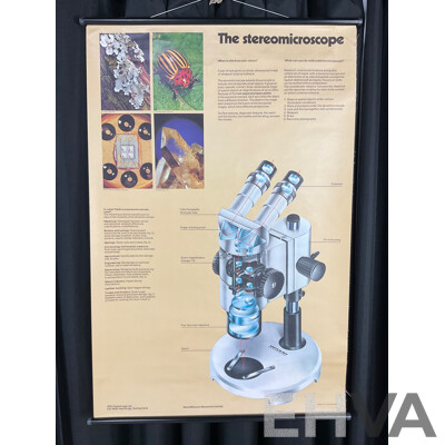 Vintage Hanging Canvas Scroll Advertisement Poster for Wild Heerbrugg M8 Steromicroscope, Printed in Switzerland