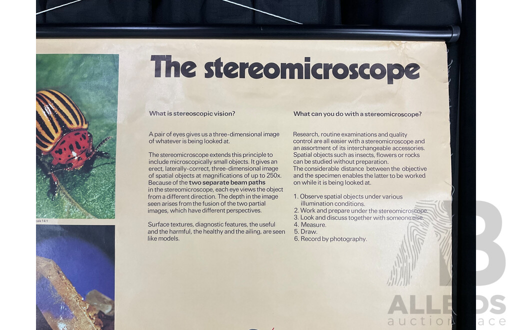 Vintage Hanging Canvas Scroll Advertisement Poster for Wild Heerbrugg M8 Steromicroscope, Printed in Switzerland