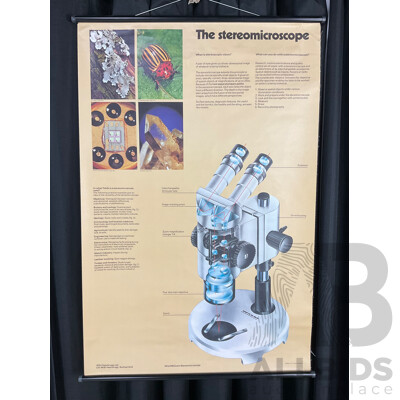 Vintage Hanging Canvas Scroll Advertisement Poster for Wild Heerbrugg M8 Steromicroscope, Printed in Switzerland