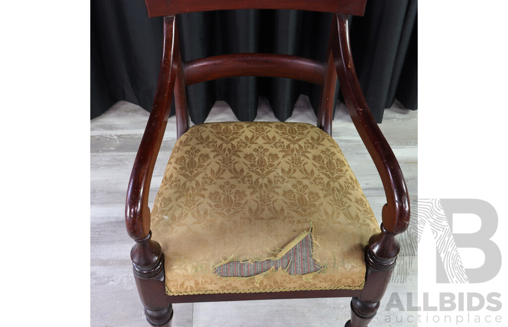 Early Victorian Cedar Carver with Upholstered Seat