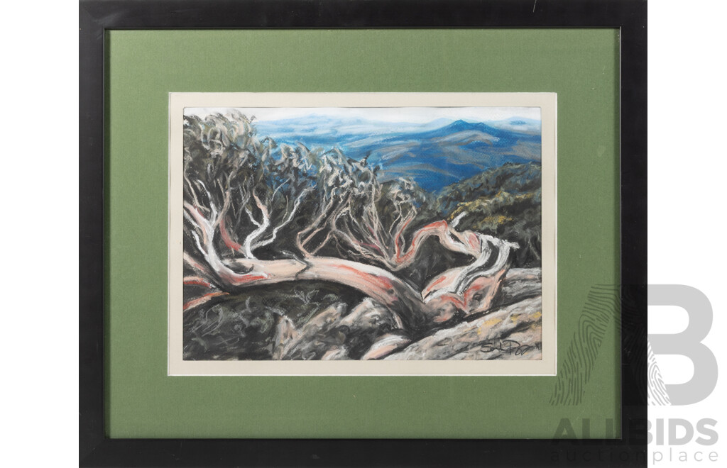 Sarah Porganyi, (20th Century, Australian), Mount Gingera, Namadgi National Park, Original Pastel, 45 x 55 cm (frame)