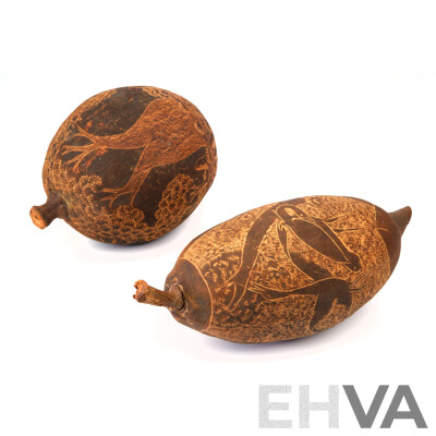 Two Large Vintage Australian Indigenous Aboriginal Hand Carved Boab Nuts