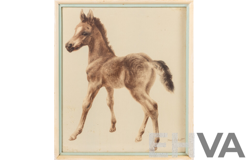 (Possibly) Kurt Meyer-Eberhardt, (20th Century, German, 1895-1977), Young Foal, Vintage Colour Print of Original Watercolour, 43 x 37 cm (frame)