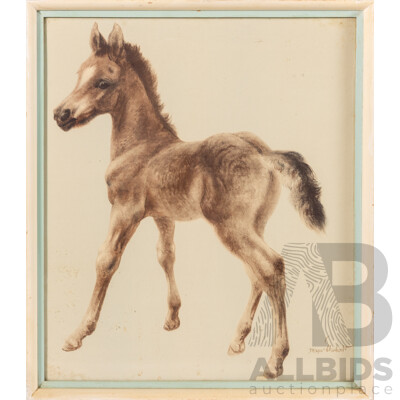 (Possibly) Kurt Meyer-Eberhardt, (20th Century, German, 1895-1977), Young Foal, Vintage Colour Print of Original Watercolour, 43 x 37 cm (frame) (Possibly) Kurt Meyer-Eberhardt, (20th Century, German, 1895-1977), Young Foal, Vintage Colour Print of Original Watercolour, 43 x 37 cm (frame)