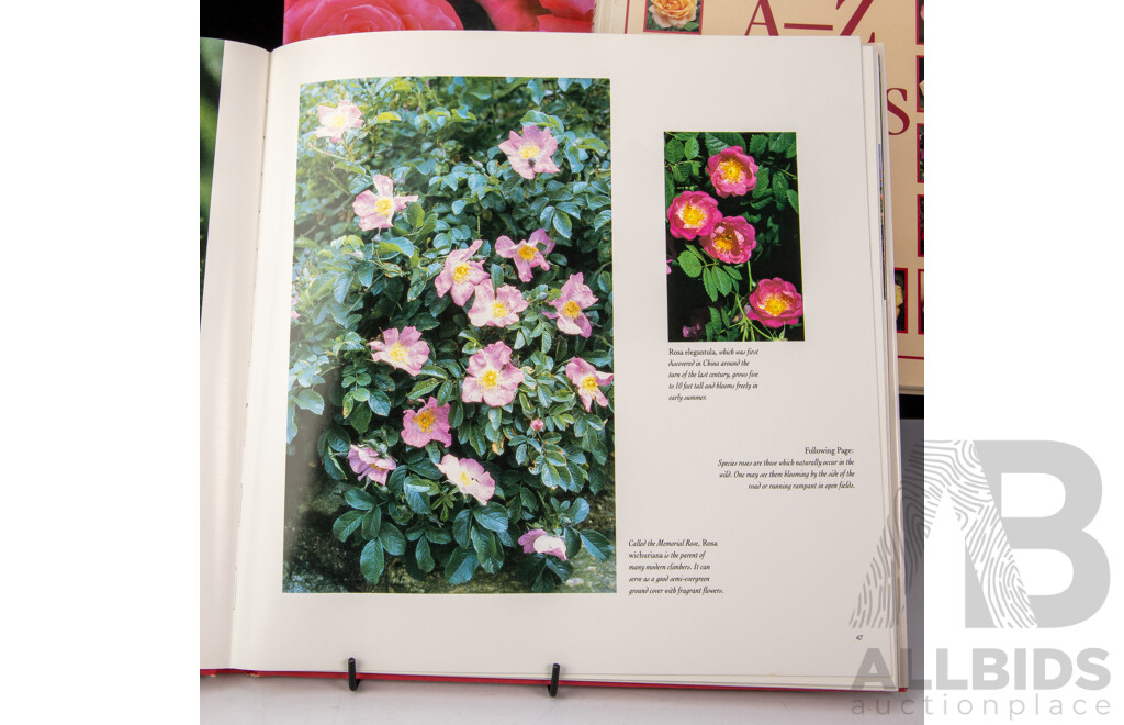 Collection Four Books Relating to Roses Including Stirling Macoboys Roses and Ore, All Hardcovers, Three with Dust Jackets