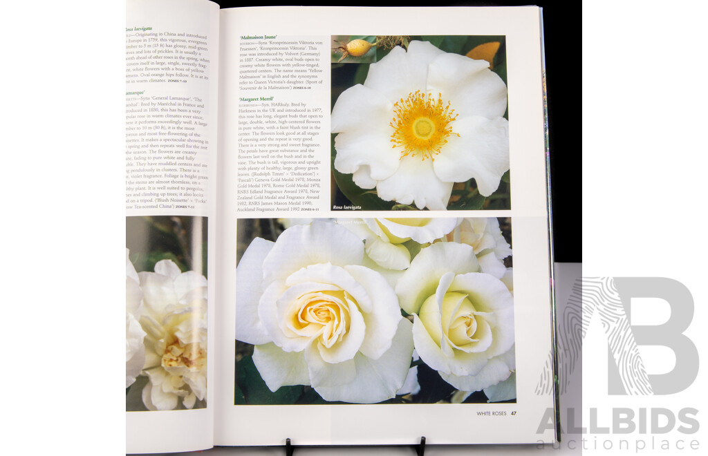 Collection Four Books Relating to Roses Including Stirling Macoboys Roses and Ore, All Hardcovers, Three with Dust Jackets