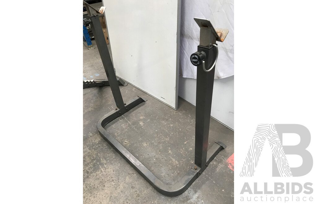 Torros Deluxe Weight Bench with Assorted Weight Plates