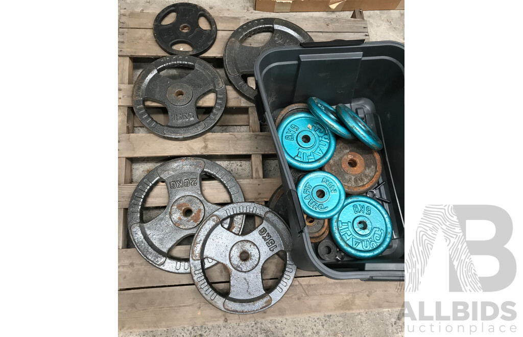 Torros Deluxe Weight Bench with Assorted Weight Plates