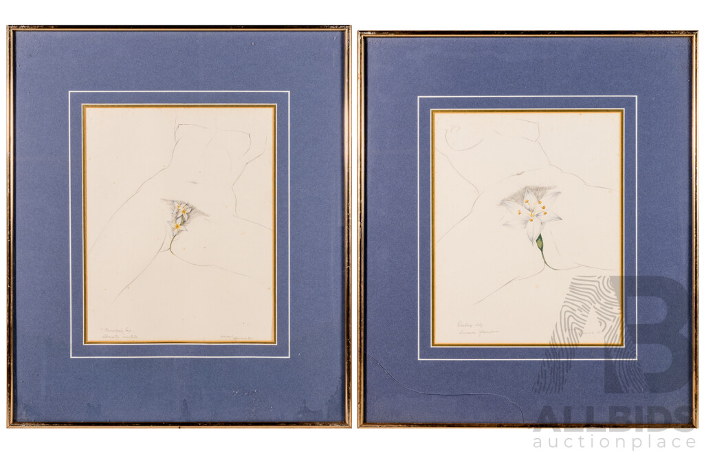 Edward Bonaventura Heffernan (20th C., Australian, 1912-92), Darling Lily (Crinum Flaccidum) & Traveller's Joy Clematis Aristata), (1980), Pair of Vintage Pencil Works on Paper, 62 x 53 cm (frames)(2)