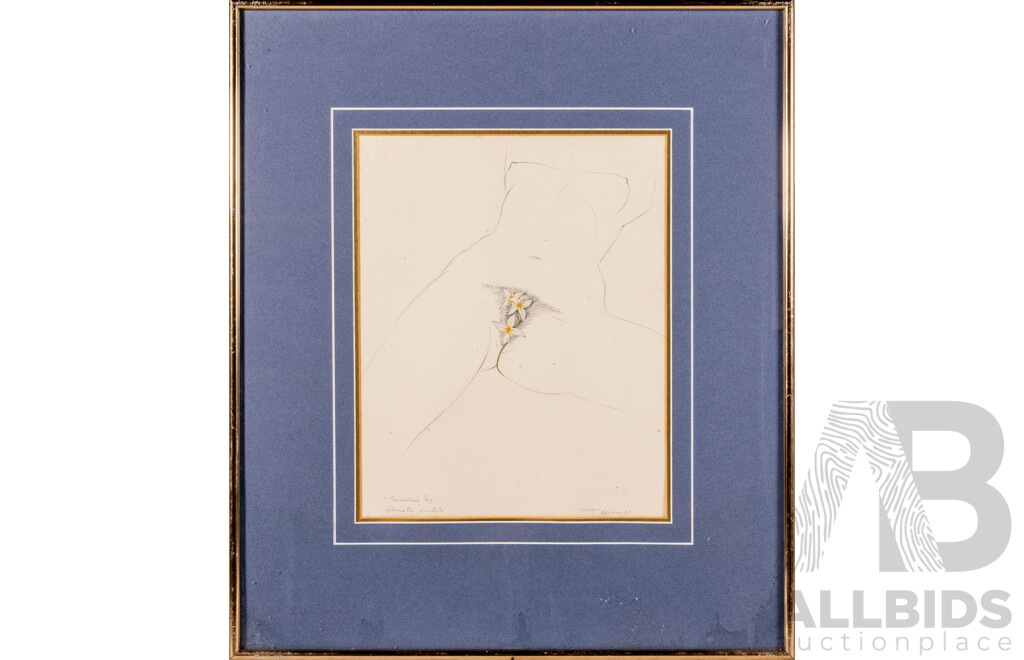 Edward Bonaventura Heffernan (20th C., Australian, 1912-92), Darling Lily (Crinum Flaccidum) & Traveller's Joy Clematis Aristata), (1980), Pair of Vintage Pencil Works on Paper, 62 x 53 cm (frames)(2)
