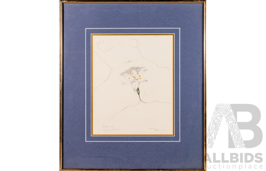 Edward Bonaventura Heffernan (20th C., Australian, 1912-92), Darling Lily (Crinum Flaccidum) & Traveller's Joy Clematis Aristata), (1980), Pair of Vintage Pencil Works on Paper, 62 x 53 cm (frames)(2)