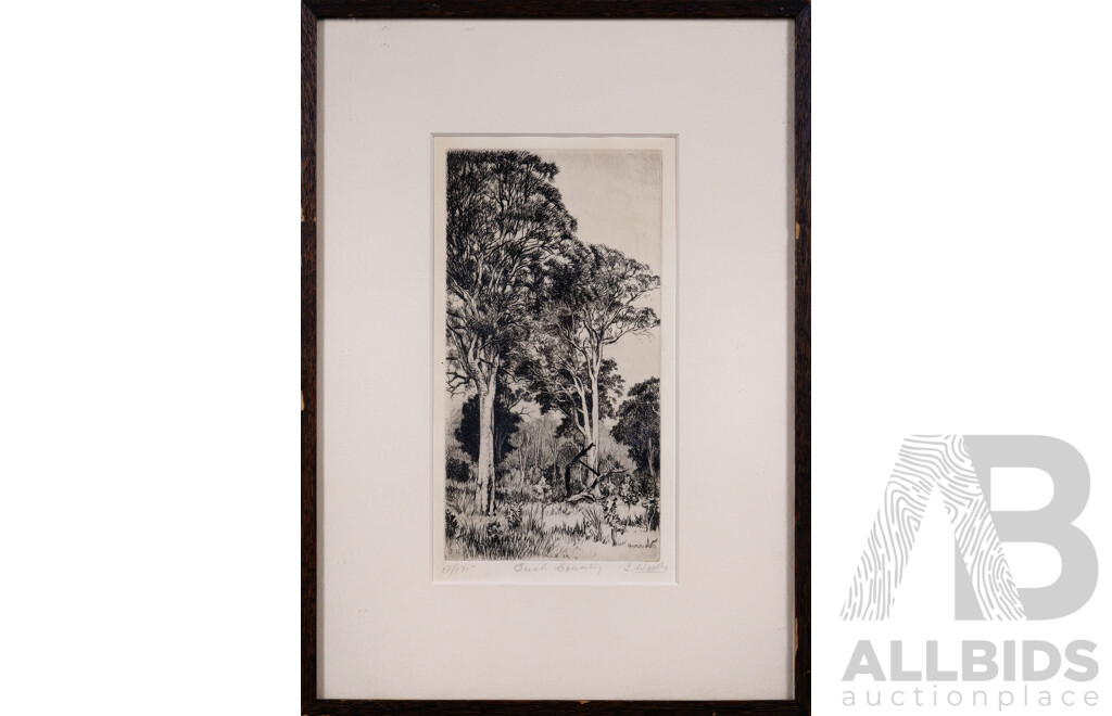 S. Woods, (20th Century), Bush Country, West Australia, Limited Edition Vintage Original Etching, 17 of 175, 21 x 11 cm (image)