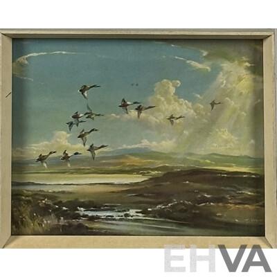 Vernon Ward, (20th Century, British, 1905-1985), Geese Homeward Bound, Vintage Quality Print of Original, 22 x 27 cm (frame), and Great Egret, Posed to Strike, Colour Photograph (2)