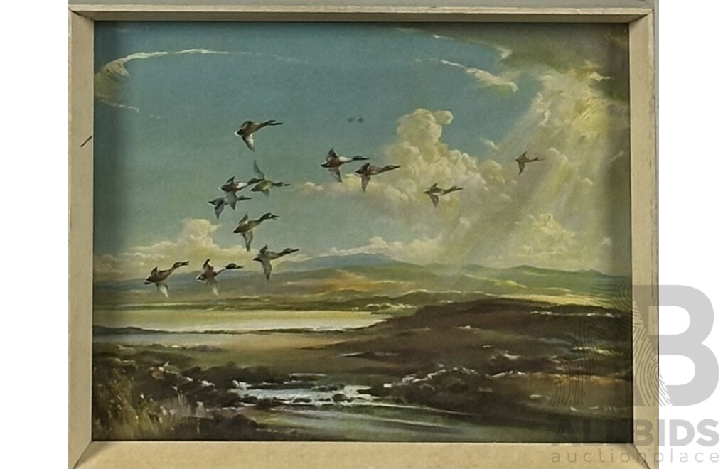 Vernon Ward, (20th Century, British, 1905-1985), Geese Homeward Bound, Vintage Quality Print of Original, 22 x 27 cm (frame), and Great Egret, Posed to Strike, Colour Photograph (2)