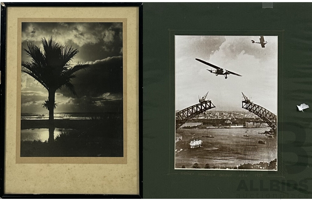 Pair of Interesting Vintage Photographs, Palm Tree on Stormy Evening & Sydney Harbour Bridge Under Construction (1929), 30 x 23 cm (larger image) (2)